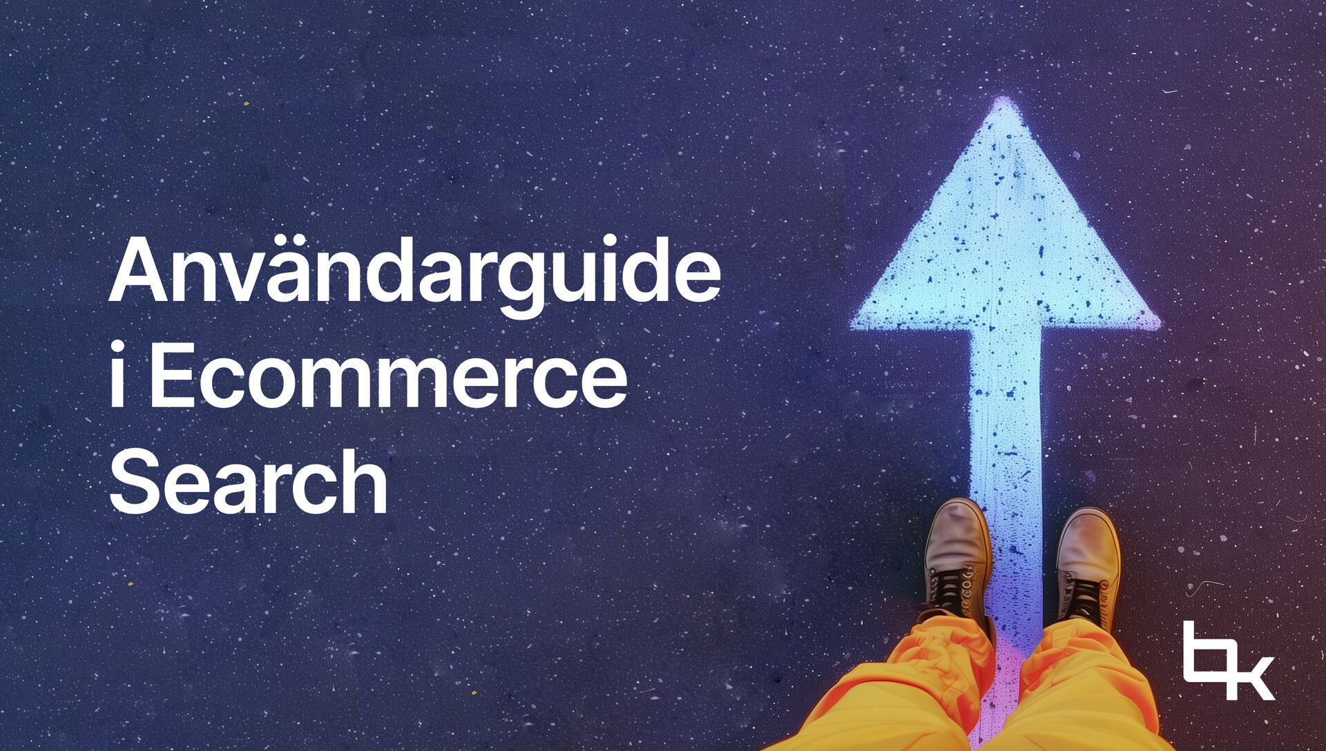 Användarguide i Ecommerce Search