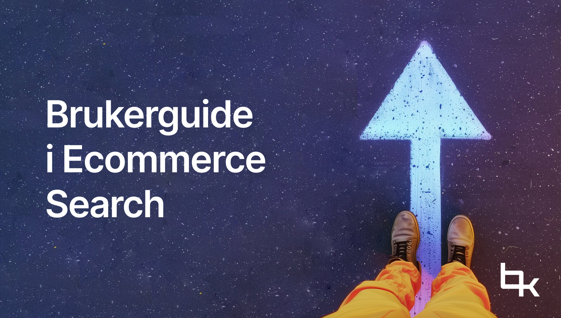 Brukerguide i Ecommerce Search